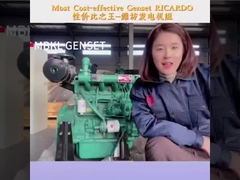 Надежный и экономичный дизельный генератор 20 кВт 25 кВт с звукоизоляционным корпусом