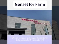 Двигатель Янгдонг 48 кВт 60 кВт тихий дизельный генератор для домашней фермы